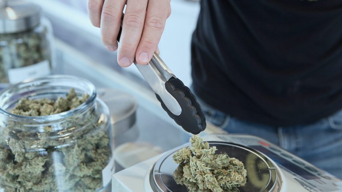 person holding grey tongs and weighing out cannabis dose